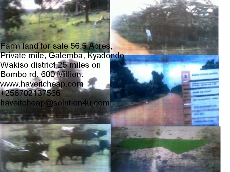Darm Land of Galemba on sale