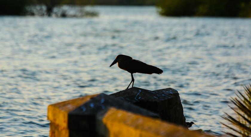 Katomi Kingdom Resort (12)