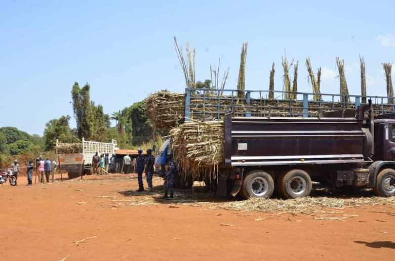 Sorry! Image not available at this time