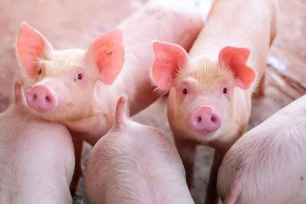 Sorry! Image not available at this time